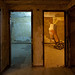 Scott Fortino Photo 13
