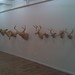 Joshua Troutman Photo 27