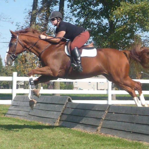 Kate Beck Photo 16