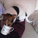 Steven Ridout Photo 14