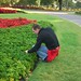 Fred Parsley Photo 13