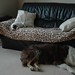 Libby Parsons Photo 21