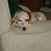 Karen Clayton Photo 46
