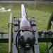 Johnny Cannon Photo 39