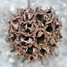 Burr Brown Photo 20