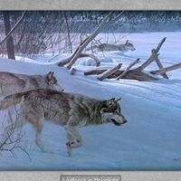 Sharon Edmiston Photo 3