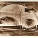 George Mott Photo 29