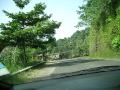 Garth King Photo 23