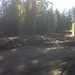 Mark Pannell Photo 34