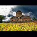 Autumn Roman Photo 21