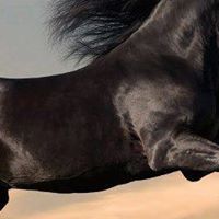 Heriberto Nava Photo 2