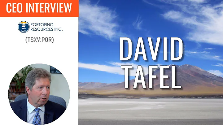 David Taffel Photo 1