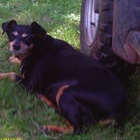 James Ambler Photo 1