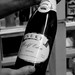 Rolf Schroeder Photo 22