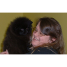 Becky Leavitt Photo 9