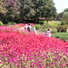 Dallas Summers Photo 24