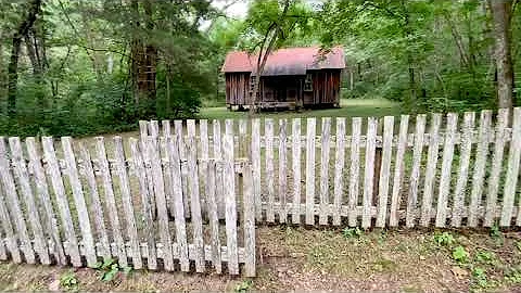 Susie Nichols Photo 27