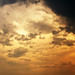 Timothy Storm Photo 23
