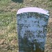 William Crowe Photo 37