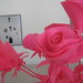 Debora Warner Photo 17