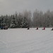 Jan Slee Photo 14