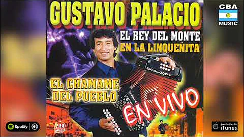 Gustavo Palacio Photo 26