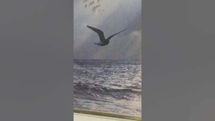 Betty Reeder Photo 16