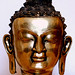 Gautam Joshi Photo 32