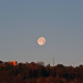 Dawn Luna Photo 42
