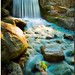 Kenneth Parks Photo 45