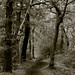 Emily Tynes Photo 14