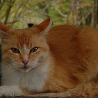 Carolyn Stearns Photo 2