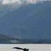Lynn Royal Photo 23