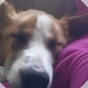 Raylene Thompson Photo 9