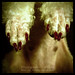 Benjamin Darling Photo 26