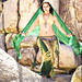 Joshua Nicol Photo 35