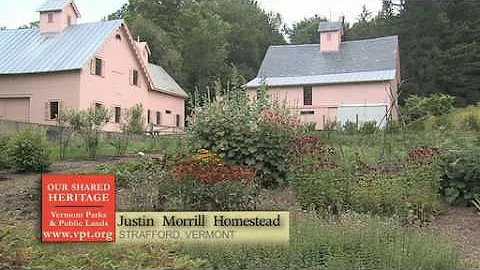 Justin Morrill Photo 18