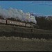 Robert Riddle Photo 39