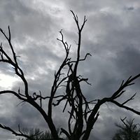 Michael Boyer Photo 9