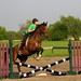 Ashley Dunham Photo 46