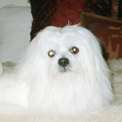 Jean Lancaster Photo 9