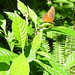 Roberta Green Photo 36