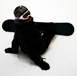 Christopher Wu Photo 12