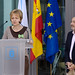 Javier Rosales Photo 44