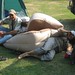 Cheri Krause Photo 19