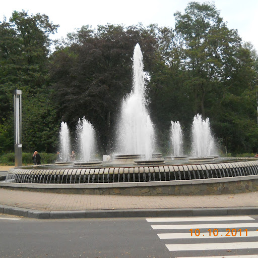 Maria Mihalache Photo 14