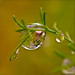 Miles Rains Photo 13