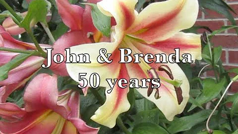 John Brenda Photo 16