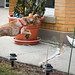 Sandy Hunt Photo 47