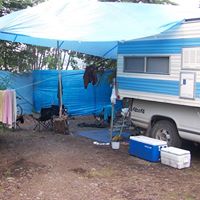 Robin Shaver Photo 6